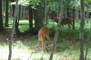 peninsula state park