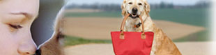 tripadvisor.com restaurants with dogs allowed in the berkshires; dog friendly restaurants in door county